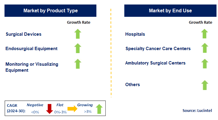 Lung Cancer Surgery by Segment